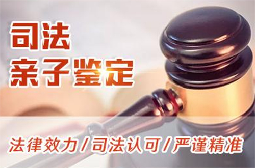 衡阳司法亲子鉴定要如何办理,衡阳司法亲子鉴定收费标准